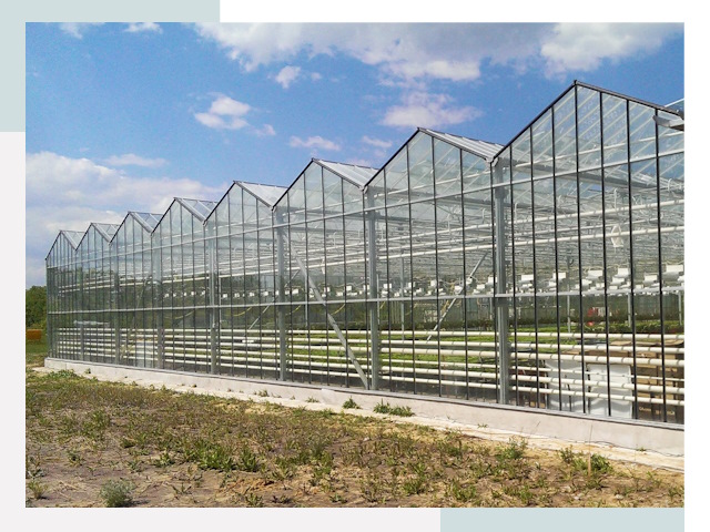 Строительство теплиц в Зеленодольск от 621 руб. за м²
